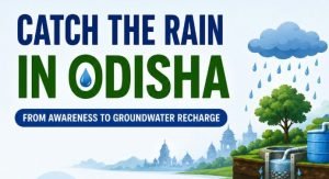 Catch the Rain in Odisha Achieves Strong 905 Structures